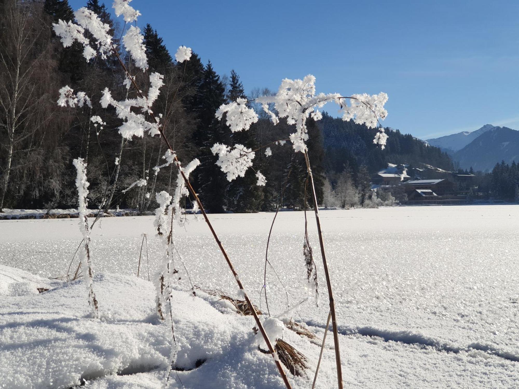 Griesbachhof-Wilder Kaiser Oberndorf in Tirol Exterior photo